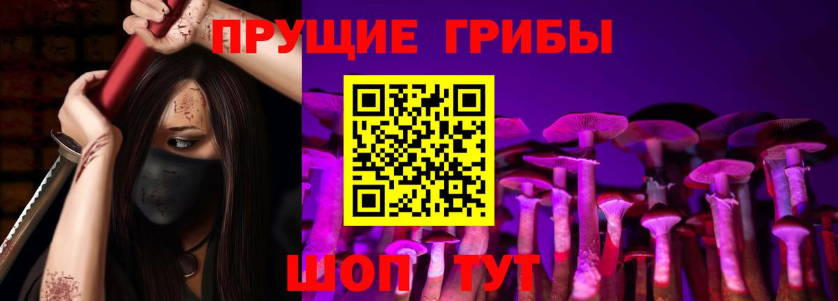 Псилоцибиновые грибы мухоморы Омск